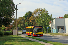 SOLARIS URBINO 12 #53