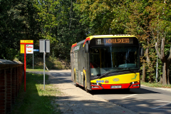 SOLARIS URBINO 12 #71