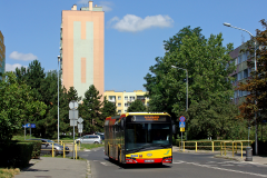 SOLARIS URBINO 12 #73